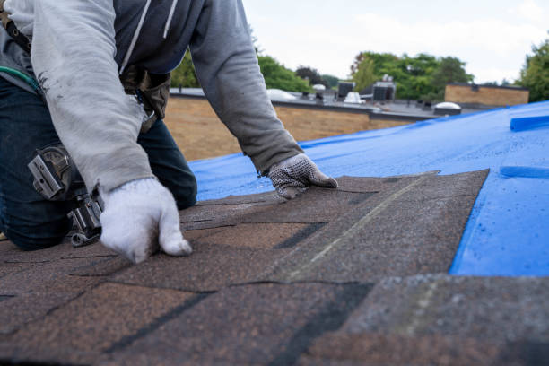 Best Commercial Roofing Services  in Scotts Hill, TN