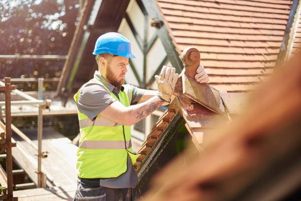 Best Local Roofing Companies  in Scotts Hill, TN